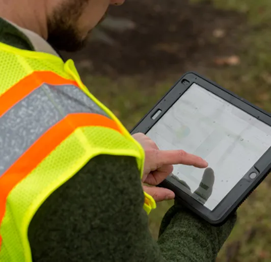 Tree planning in Rochester, Minnesota