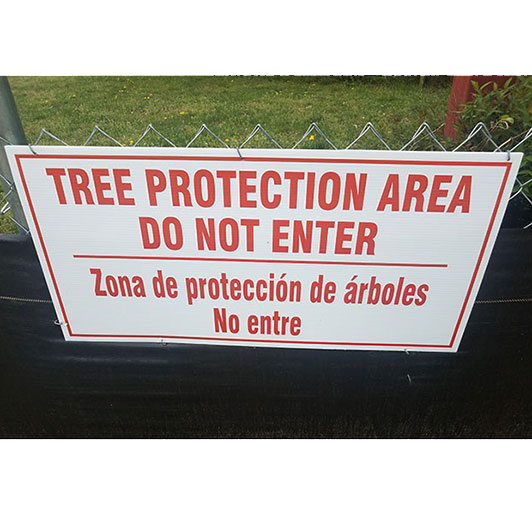 Tree Protection near Rochester, Minnesota