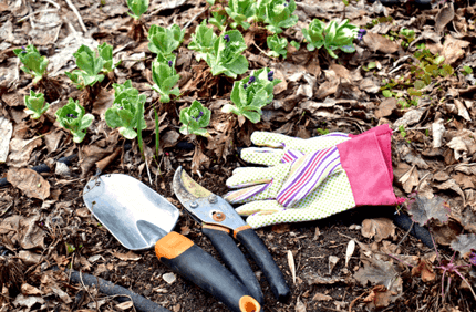 How To Cleanup Your Landscape After A Snowy Winter