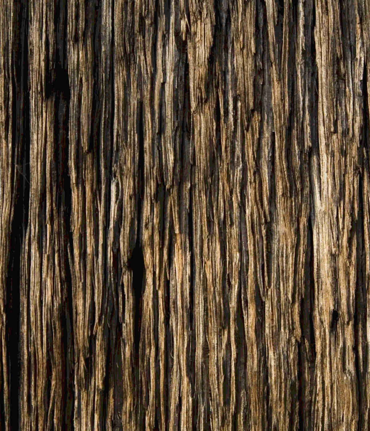 Woodgrain