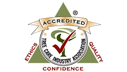Tree Care Industry Association
