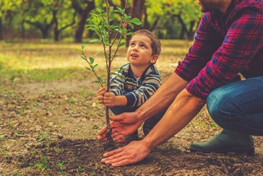 Child Planting Tree With Parent