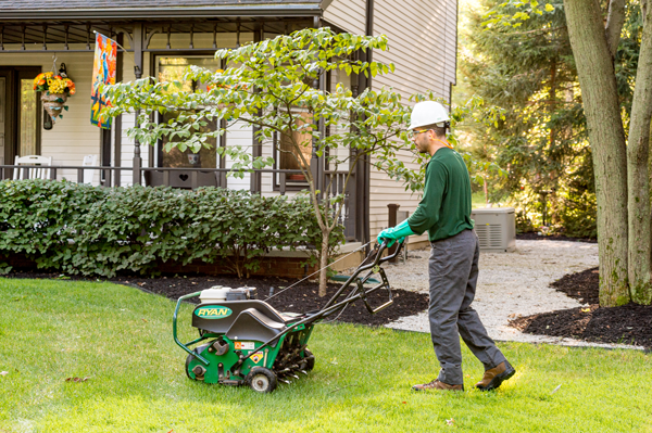 Aerating Lawn 2019