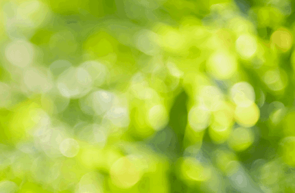 Recovering Lawn From Too Much Rain