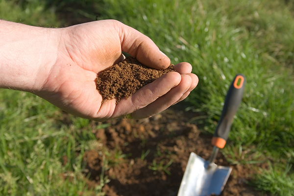 Soil Test Is Your Soil Compacted