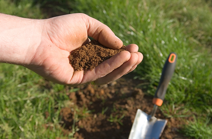 Soil Test Is Your Soil Compacted