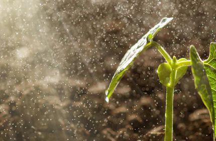 Project Profile Rain Garden Installation Banner 1440X500