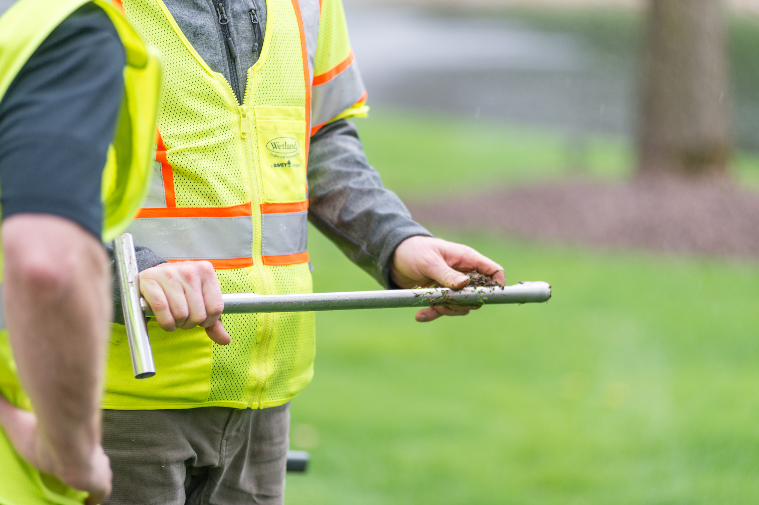 Professional Lawn Care Services Near Rochester, MN Maier Tree & Lawn