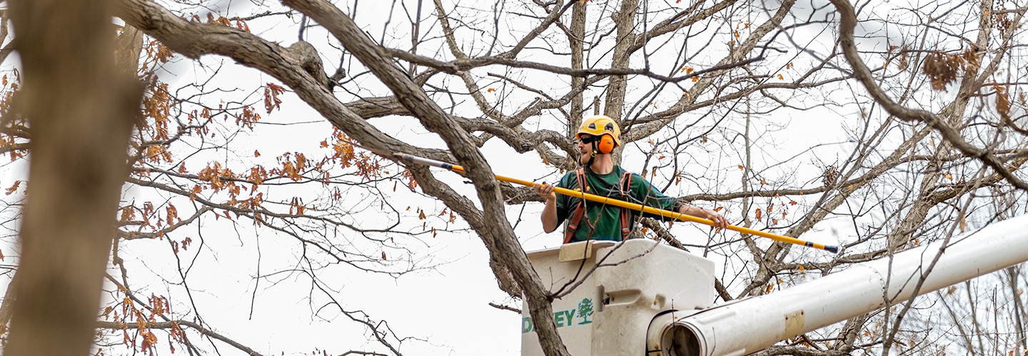 Commercial Blog Winter Landscape Banner 1440X500