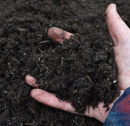 Biochar Fertilizer near Rochester, Minnesota