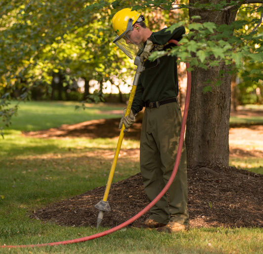 Root Enhancement near Rochester, Minnesota