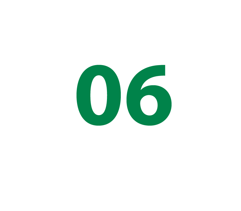 06