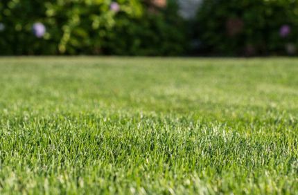Lawncare Banner