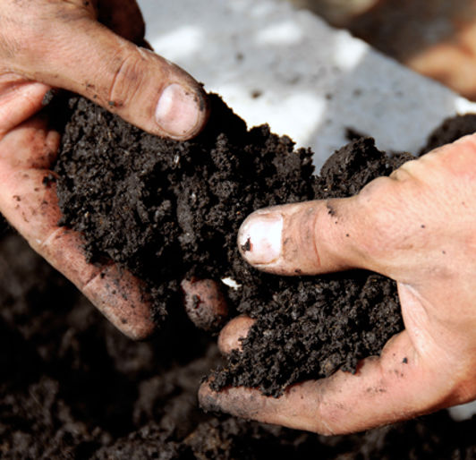 Lawn Care Services near Rochester, Minnesota
