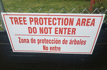 What Is A Tree Protection Zone (2)