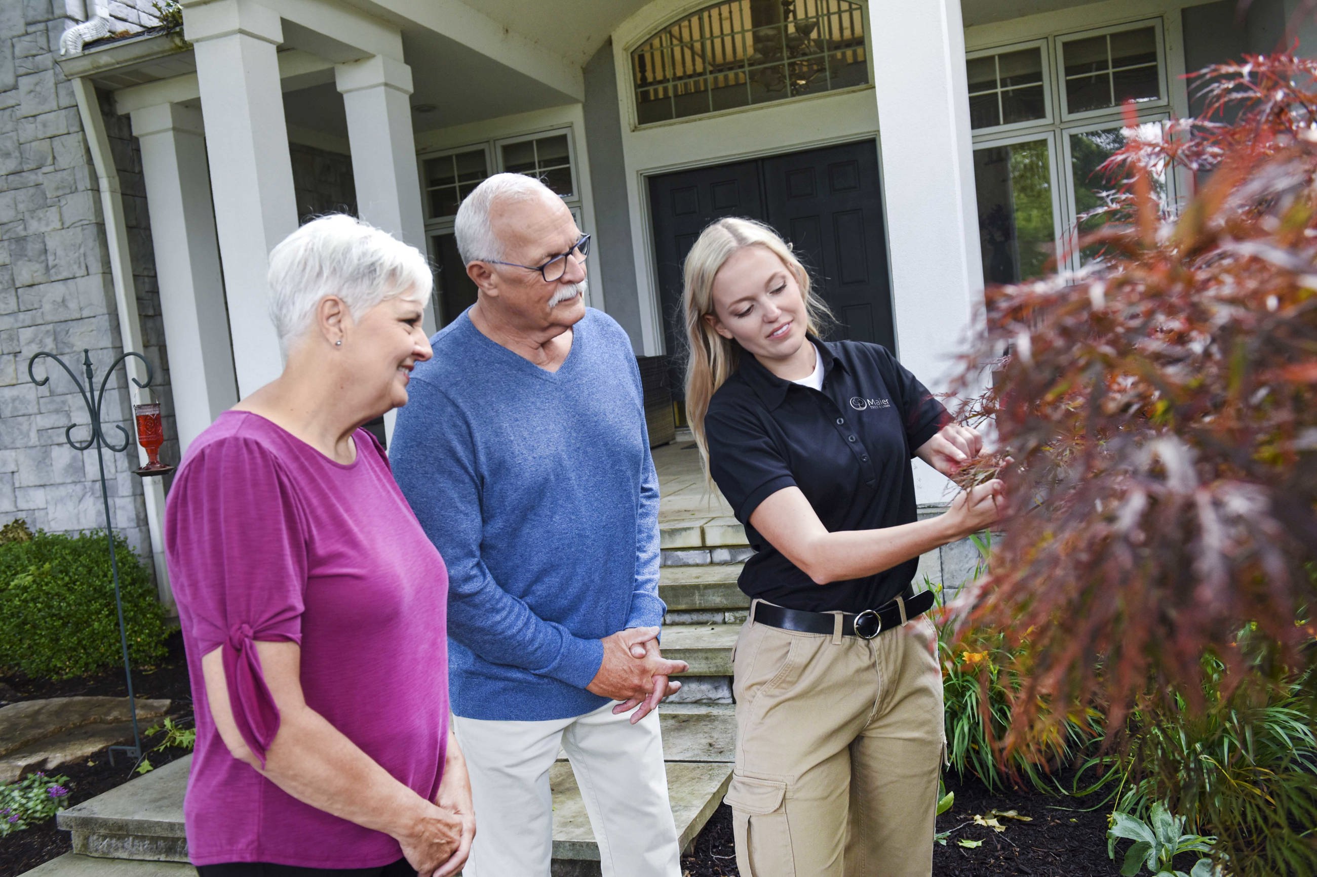 Tree Care in Southeast Minnesota 