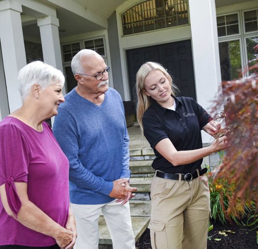 Tree Care in Southeast Minnesota