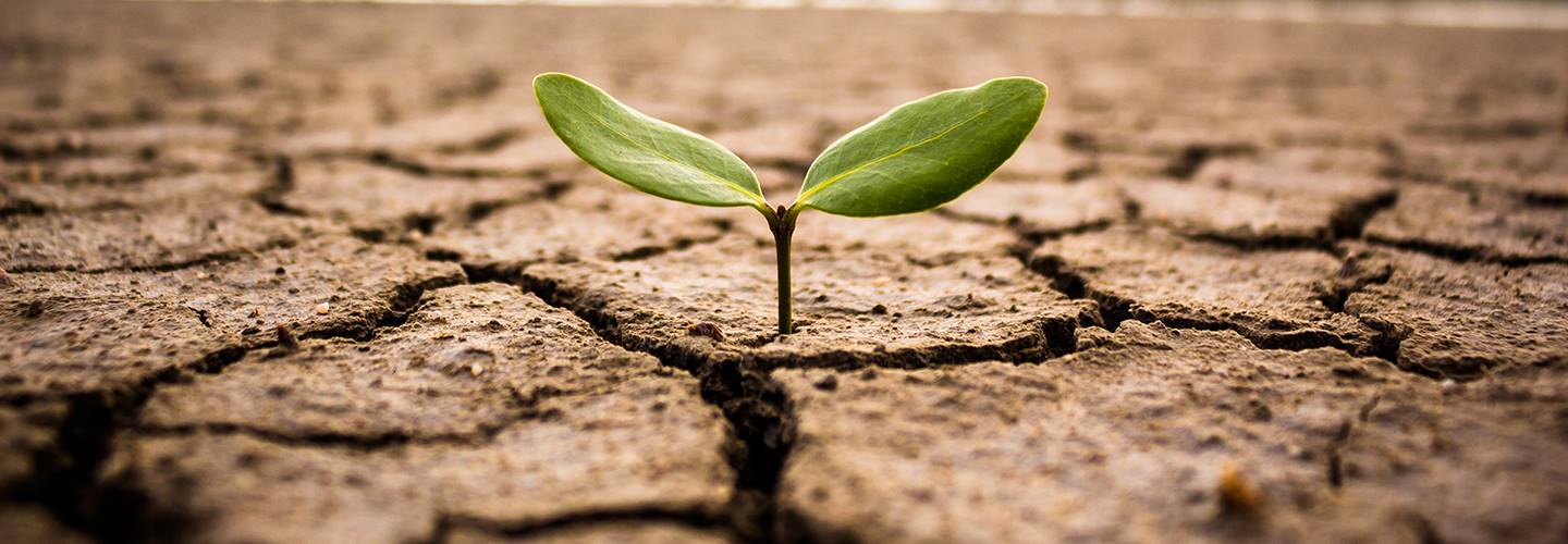 Drought Stock Banner