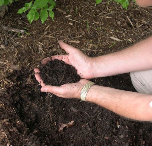 Soil enrichment near Rochester, Minnesota