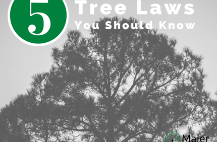 Maier Tree And Lawn 5 Tree Laws Facebook
