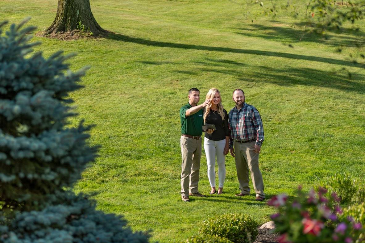 Best Fertilizer For Evergreens Davey Tree